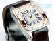 Swiss Copy Cartier Santos 100th Anniversary Ladies Watch Two-Tone Rose Gold Bezel (4)_th.jpg